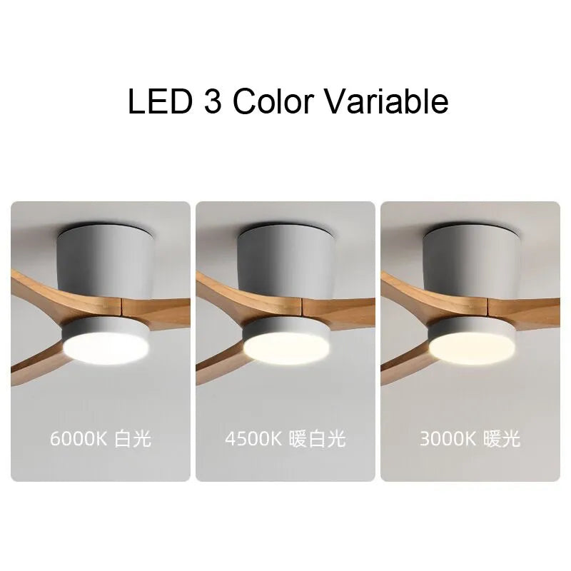 Low Floor Ceiling Fans 36 42 48 56 Inches Remote Control Fans Lamp Design Ceiling Fan With Light Wood+White DC Motor Led Fans